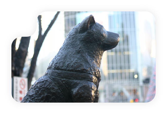 渋谷駅からすぐの立地